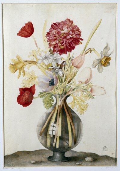 Vase of Flowers with Daffodils, Carnations and Anemones by Giovanna Garzoni
